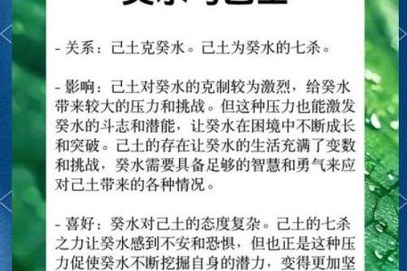 葵水命女性适合的男人：智慧与温柔的完美结合