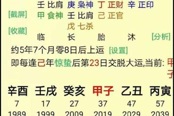 男命财旺官杀旺的深意与影响解析