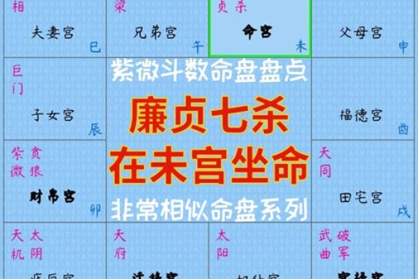 男命财旺官杀旺的深意与影响解析