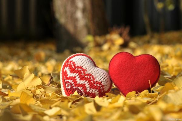 男命入赘的背后：探索传统与现代婚姻观念的交融之道