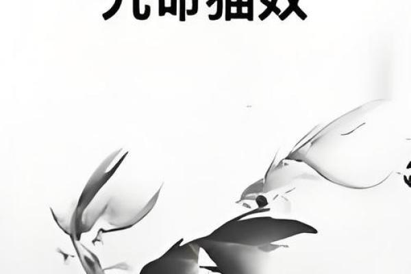 九命猫命格的人：神秘而独特的性格特征与生活境遇