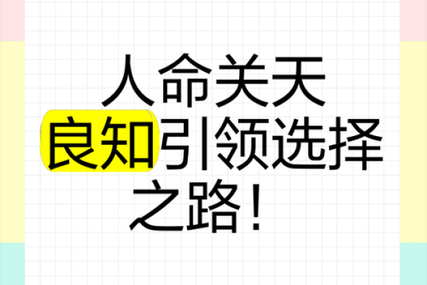 探寻“命带踢人”的深意：生活中的命运与选择