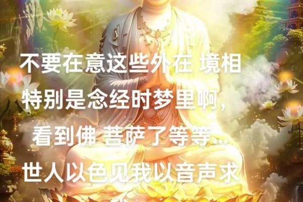“命贵不染风尘女”：在尘世中守护内心的纯净与自我
