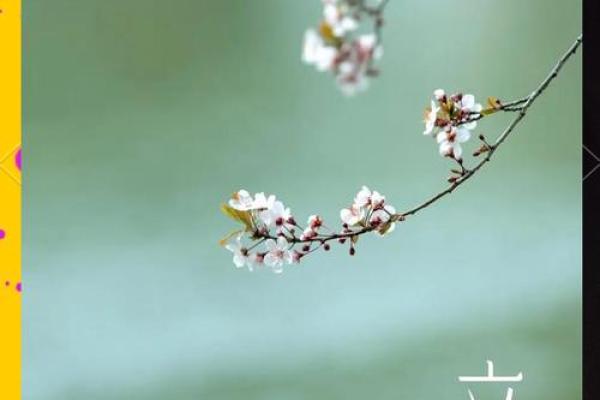 立春洛神命：揭示春天的神秘与美丽生活的启示