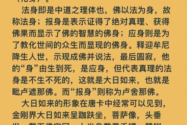 解读命下、慈下与尊下的深刻含义与启示