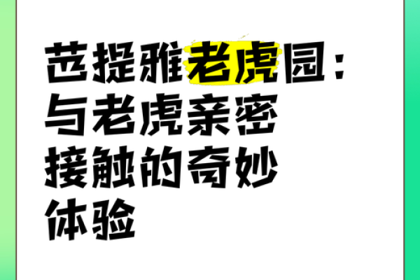 2024年农历六月：揭秘虎年命运的奇妙灵性之旅