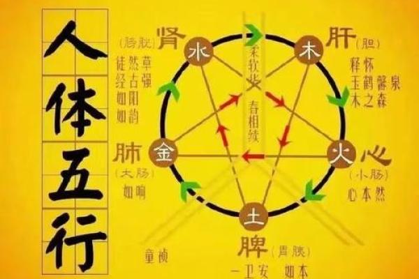 九五年男性命卦解析：属火，携风而行，探寻人生的智慧与机遇