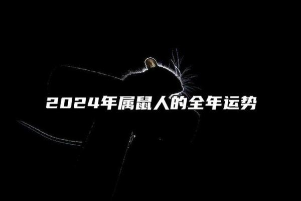 2024年鼠宝宝运势解析：如何为鼠年新生儿选择最佳生辰八字