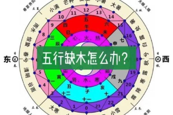 木命与其他五行命理的最佳搭配与性格分析