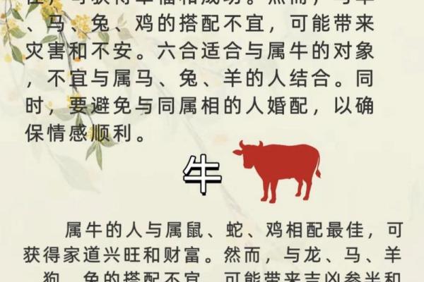 探秘：男人属什么生肖命最好，揭示成功与幸福的密码！