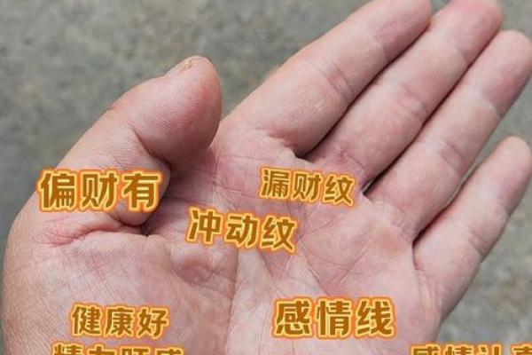 命理财星繁多却漏财的深层原因解析