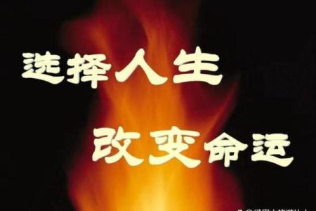 男孩命运的奥秘：9个螺与人生选择的联系