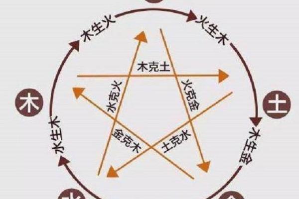 木命与其他五行命理的最佳配对分析