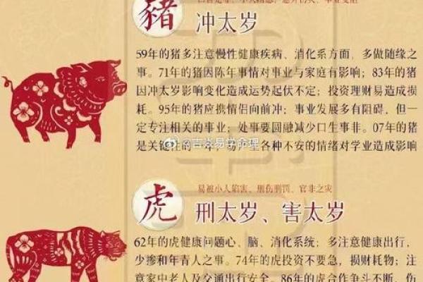 木兔之命五行研究：探寻缺失的元素与其影响
