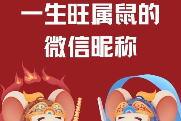 探寻2008年属鼠者的命运：性格、职业与爱情的全解析