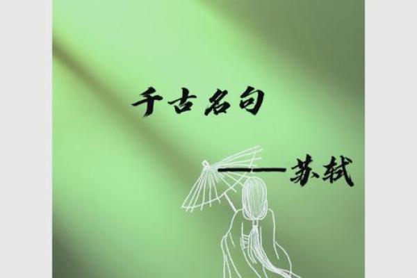 命运的奔腾：成语接龙带你探索人生的智慧与哲理