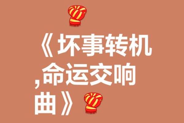 命运的交响曲：解读命不错的人背后的故事与哲学