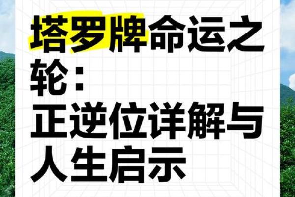 九五年腊月初九的命理探秘——命运之轮的转动与人生机遇