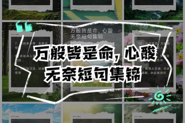 九五年腊月初九的命理探秘——命运之轮的转动与人生机遇