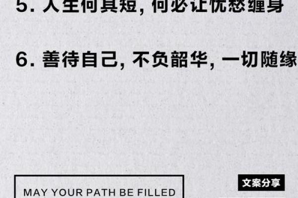命也是缘，缘也是命——探寻生命中的际遇与选择