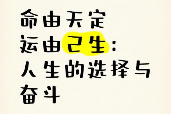 命也是缘，缘也是命——探寻生命中的际遇与选择