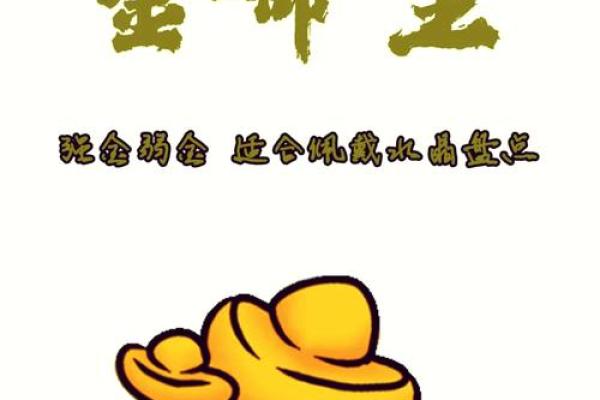 解读命1与命4：探索生活中的命运与选择的奥秘