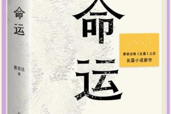 解读命1与命4：探索生活中的命运与选择的奥秘