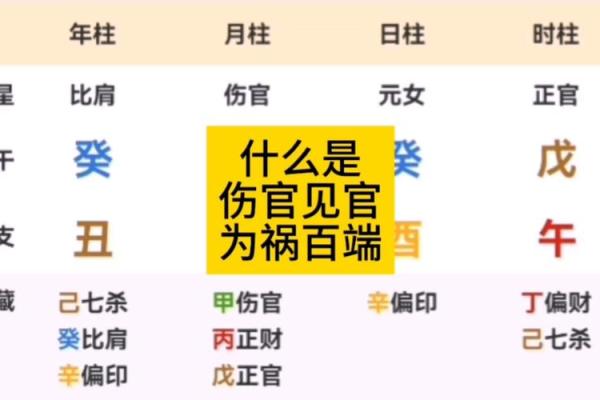 男命天元伤官解析：解读命理中的伤官之秘