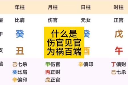 男命天元伤官解析：解读命理中的伤官之秘
