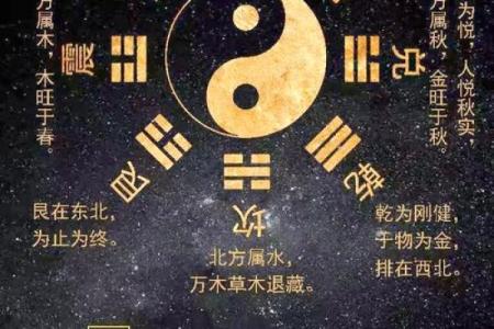 木命与水命的神秘联系：探索五行背后的奥秘与应用