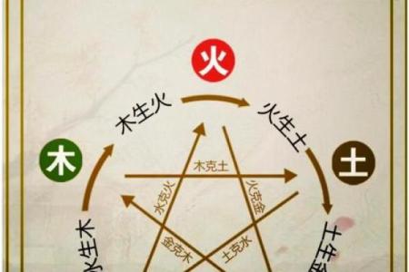 木命与其他五行命理的相克与不配对探讨
