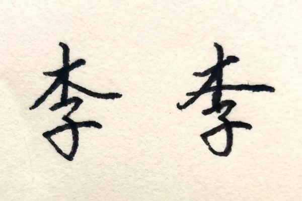 探寻李姓之命：揭秘名字背后的五行与性格特点