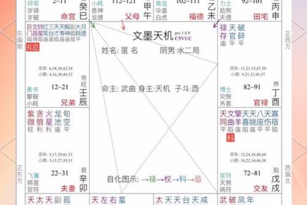 天梁星：命盘中的智慧光辉与人生指引