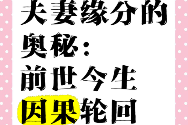 命与缘的交织：探寻“命就是缘缘就是命”的深意