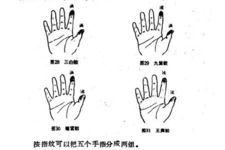 男人手指6个斗是什么命？探索手相背后的秘密！