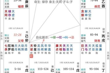 男命七杀解析：揭示生肖独特命运与个性特征