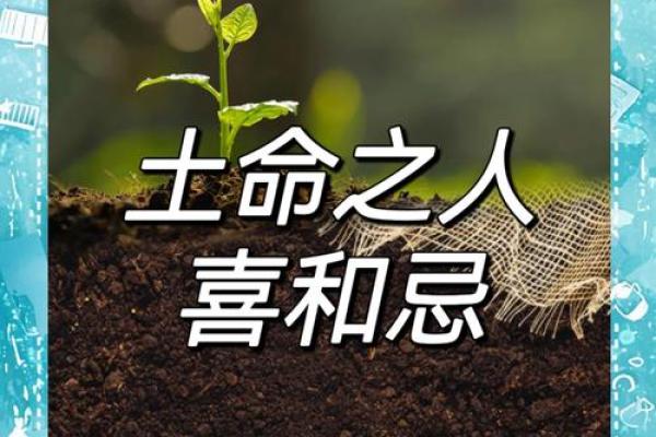 木命与土命的职业选择：发现适合你的事业之路