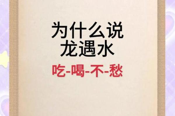 探寻龙命理：属龙的人如何找到最适合自己的命运之路？