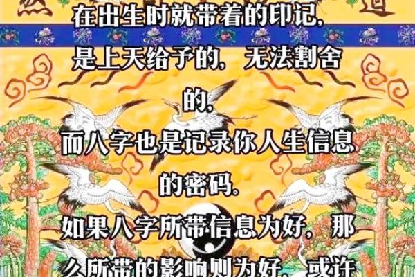 从八字看女性事业运：解锁成功的密码