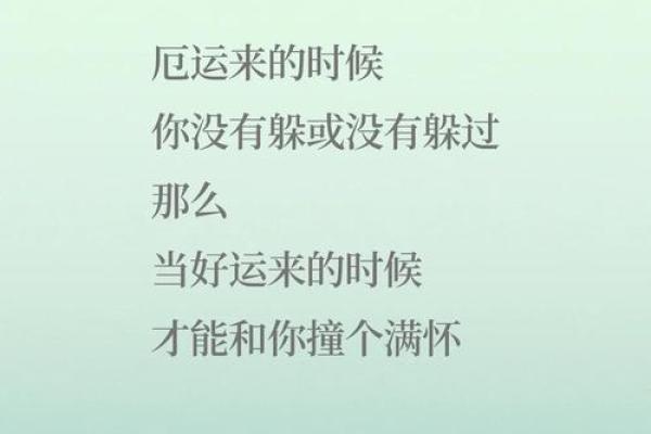 命运的韵律：当没有命却拥有命的生活感悟