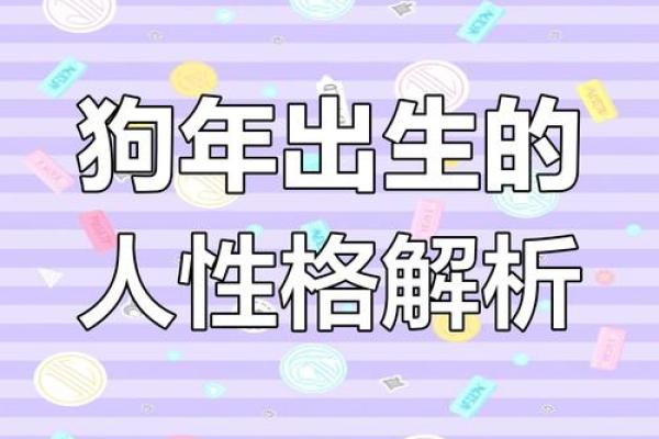 九四年出生的狗狗：命运与性格深度解析