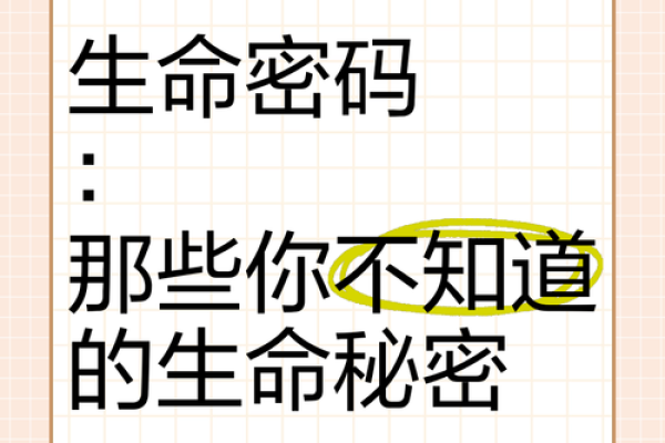 探寻六两以上命理的奥秘：你的命运究竟藏着怎样的秘密？