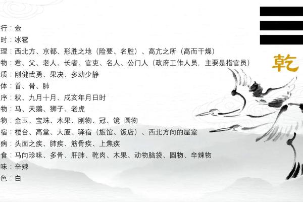 解码离命与乾命：揭示命理婚配的奥秘