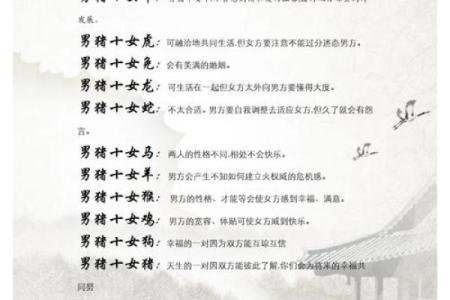 1991年猪年五行属什么命格：解读猪年的命理密码