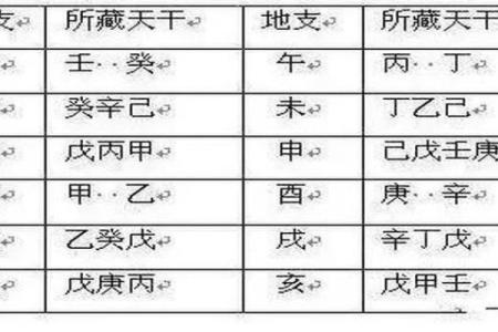 男命日支为辰的命理解析与生活启示