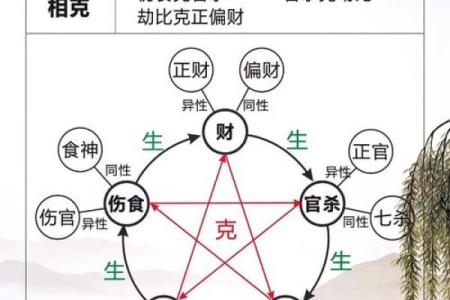 男孩命带七杀：探索命理中的神秘力量与人生机遇
