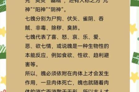 道士命带什么神杀，探索命理与修行的奥秘