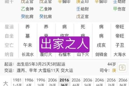 男命八字中枭才的深刻解读与人生智慧