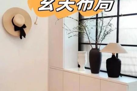 木命与水命：玄关风水布局的巧妙策略