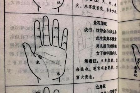 男人手相掌纹烦乱，揭示命运的奥秘与人生的起伏